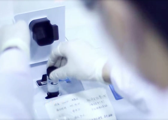 CAS NO.156028-26-1 1.6.7.12-tetrachloro-3.4.9.10-tetra 안하이드라이드페릴렌